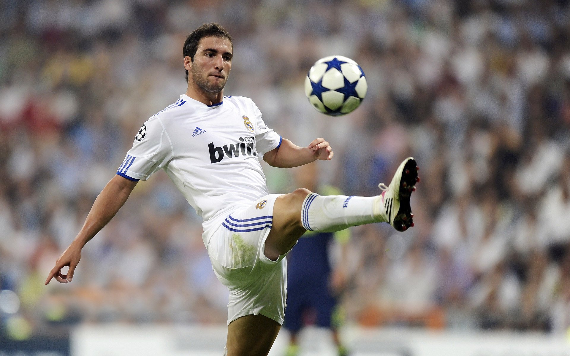 日本队精神力爆棚,力克强敌!,日本队伍